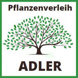 Adler