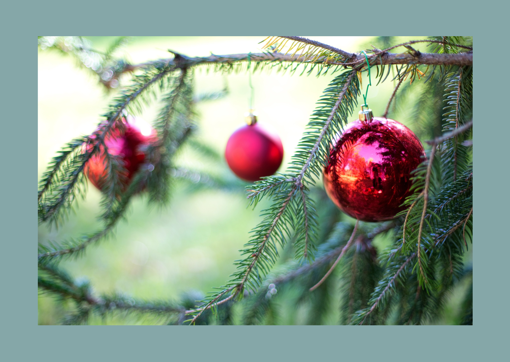 Woher kommt die Weihnachtsbaums Tradition?